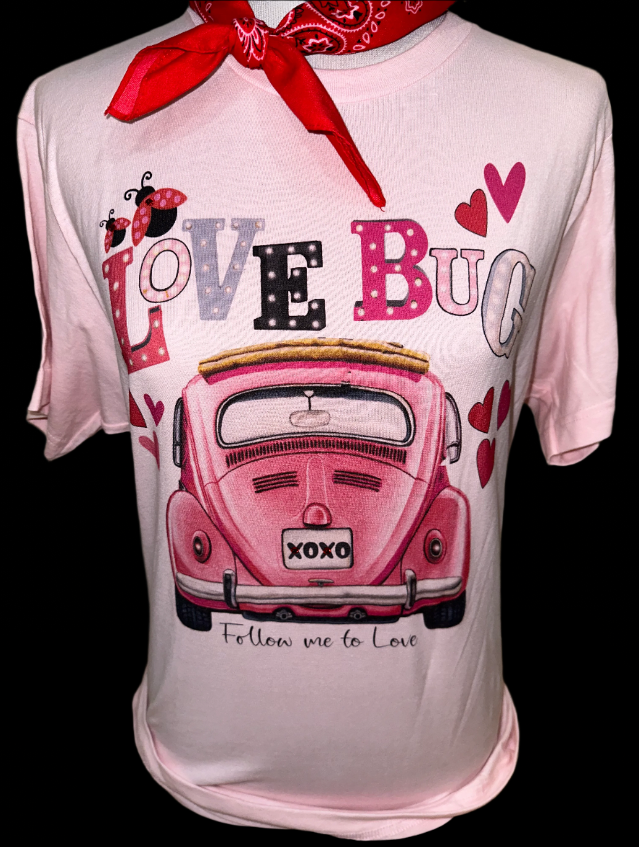 Love Bug (Mama or Mini) on Light Pink (Adult or Youth) Crew