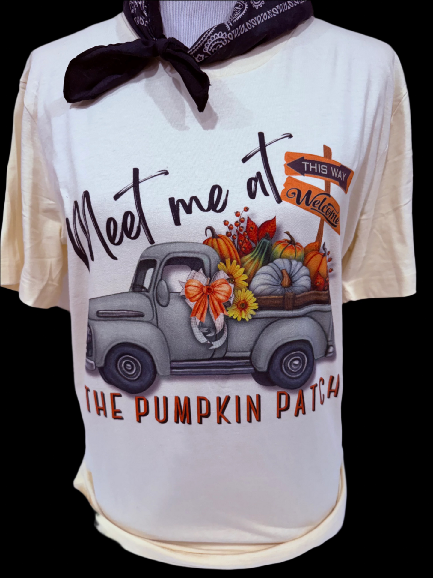 Meet me at the Pumpkin Patch on Natural Crew