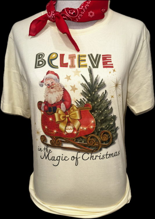 Believe in the Magic of Christmas on White Crew