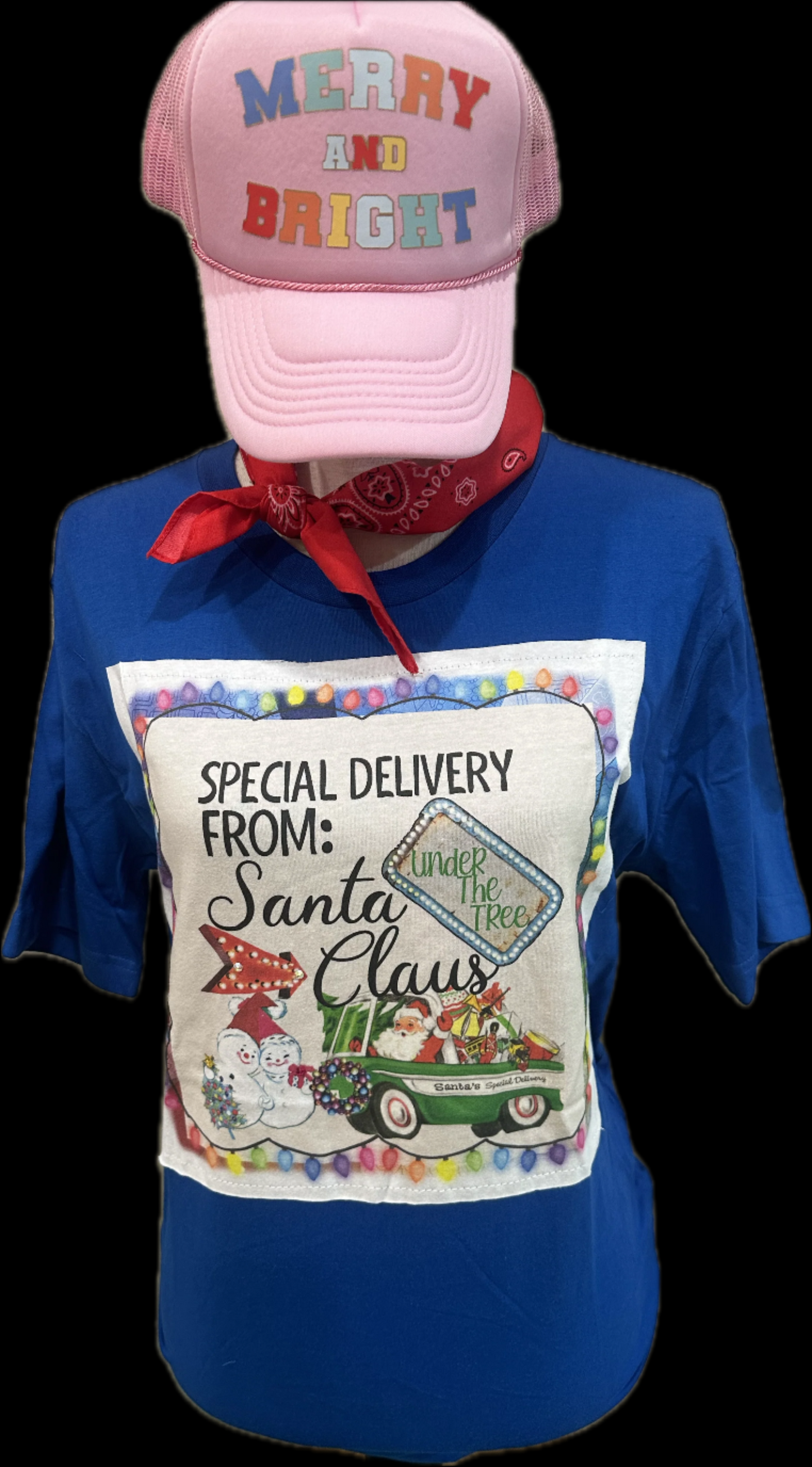 Special Delivery From Santa on Crew OR Sweatshirt