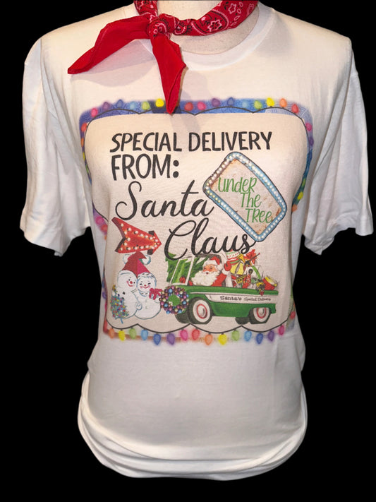 Special Delivery From Santa on Crew OR Sweatshirt